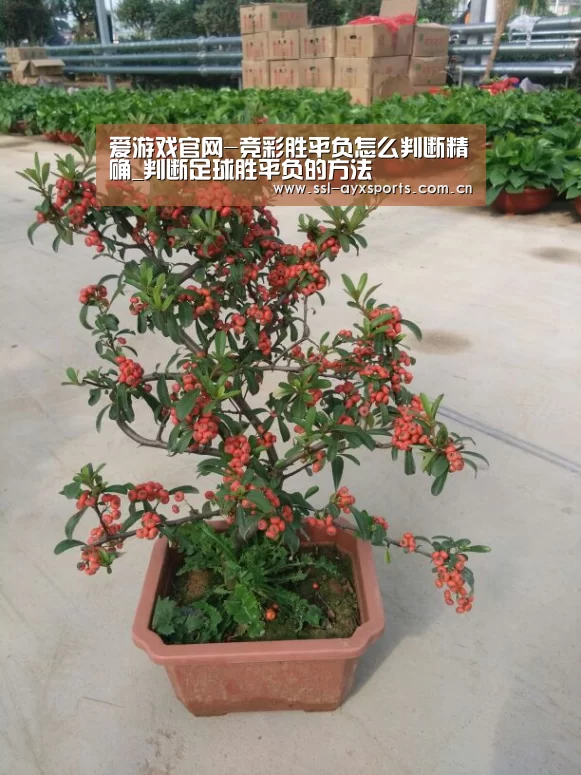 爱游戏官方