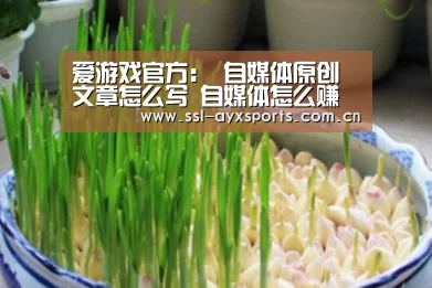 爱游戏官方:
自媒体原创文章怎么写 自媒体怎么赚钱?(分享履历)(图1) 爱游戏app
